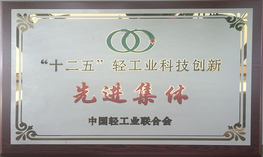 2016年十二五輕工業(yè)科技創(chuàng)新先進集體
